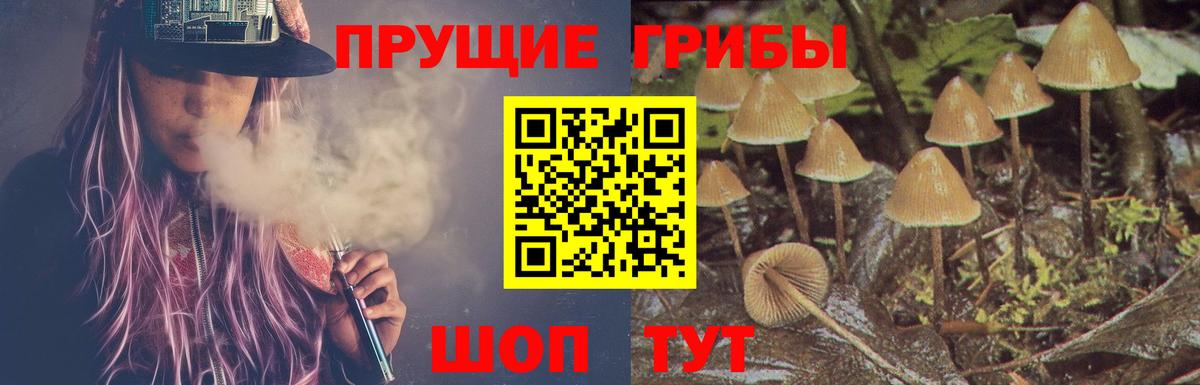 Северск  Галлюциногенные грибы Magic Shrooms  Вход с VPN 